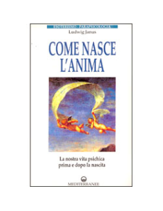 Come nasce l'Anima 