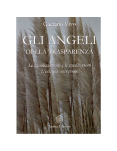 Gli Angeli della Trasparenza