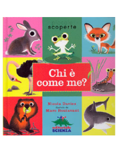 Chi è Come Me?