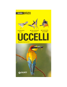 Uccelli