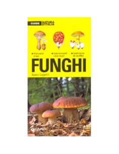 Funghi