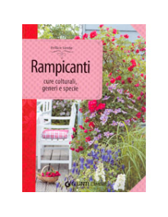 Rampicanti