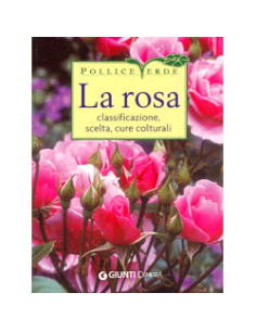 La Rosa