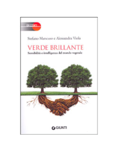 Verde Brillante