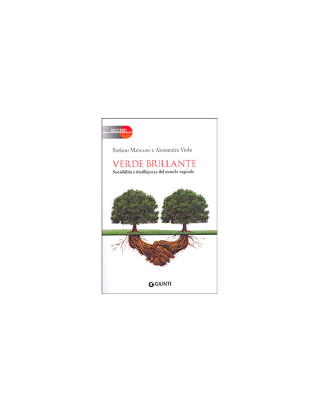Verde Brillante