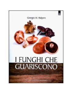 I Funghi Che Guariscono