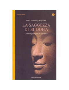 La Saggezza di Buddha