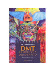 DMT La Molecola dello Spirito