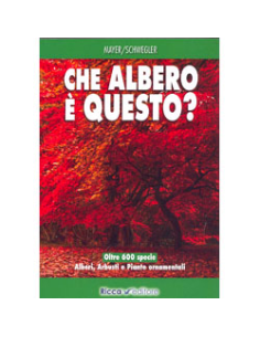Che Albero è Questo?