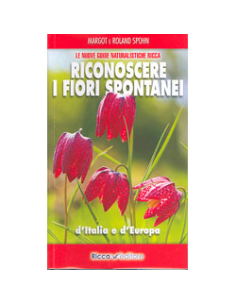 Riconoscere i Fiori Spontanei