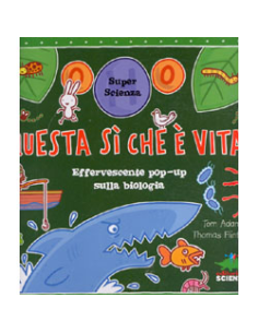 Questa Sì Che E' Vita