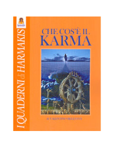 Che cosa è il Karma