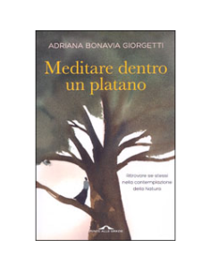 Meditare Dentro un Platano