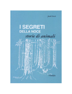 I Segreti della Noce - Dai 10 anni in su