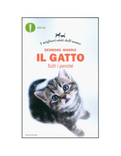 Il Gatto 