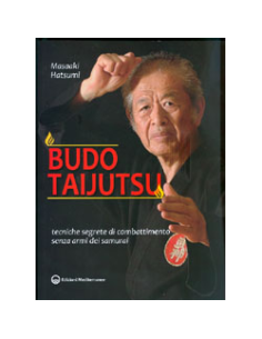 Budo Taijutsu