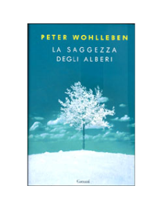 La Saggezza degli Alberi