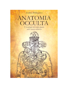 Anatomia Occulta