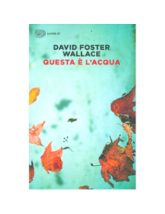 Questa è l'Acqua