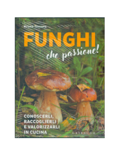 Funghi che Passione