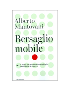 Bersaglio Mobile