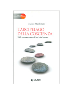 L'arcipelago della Coscienza