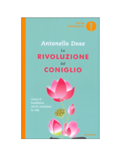 La Rivoluzione del Coniglio