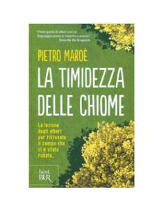 La Timidezza delle Chiome