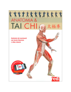Anatomia e Tai Chi