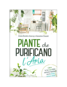 Piante che Purificano l'Aria