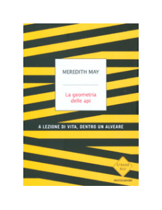 La Geometria delle Api