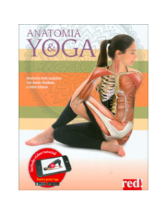 Anatomia e Yoga