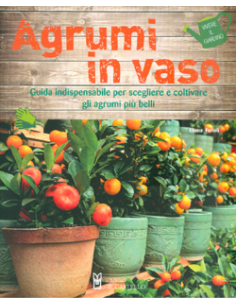Agrumi in Vaso