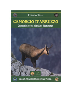 Camoscio d'Abruzzo