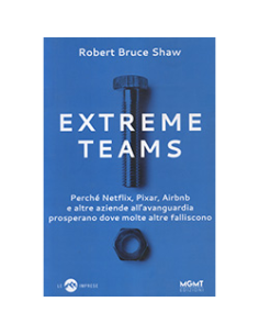 Extreme Teams