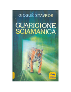 Guarigione Sciamanica