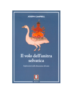 Il Volo dell'Anitra Selvatica