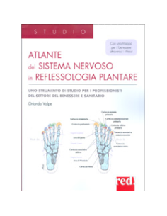 Atlante del Sistema Nervoso in Reflessologia Plantare