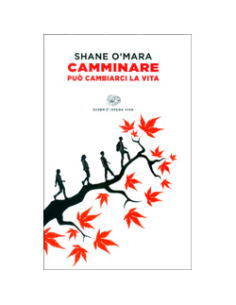 Camminare Può Cambiarci la Vita