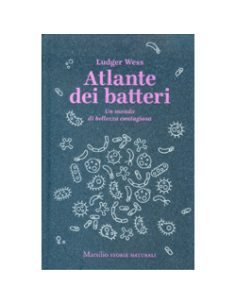 Atlante dei Batteri