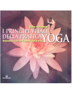 I Principi Vitali della Pratica Yoga