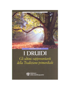 I Druidi
