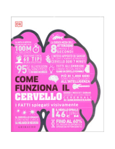 Come Funziona il Cervello