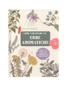 Come Coltivare le Erbe Aromatiche