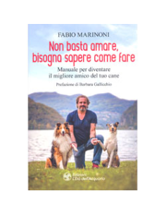 Non Basta Amare Bisogna Sapere Come Fare