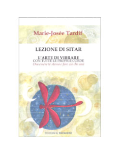 Lezione di Sitar