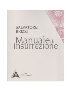 Manuale di Insurrezione