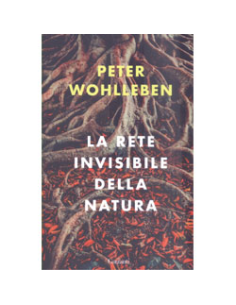 La Rete Invisibile della Natura