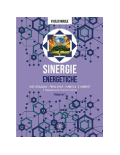 Sinergie Energetiche - Vol. 1