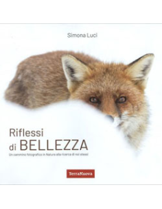 Riflessi di Bellezza